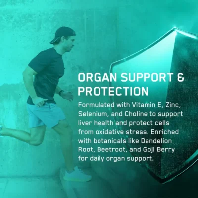 Organ Shield Supplement